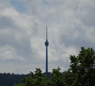Fernsehturm vom Rosensteinpark aus