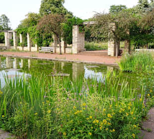 Der Wassergarten des Nordparks