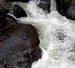 Rundweg „La Isla“ Path