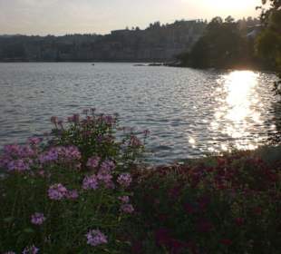 Lago visto dal parco in centro di Lugano 2