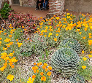 Garten innerhalb der Mission 