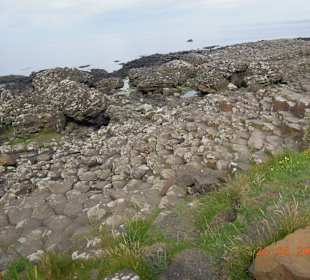 Niedrige Basaltsäulen am Giants Causeway