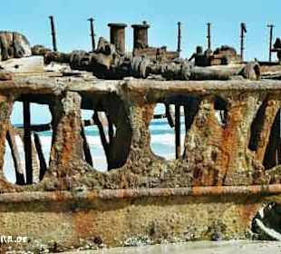 Fraser Island-Wrack