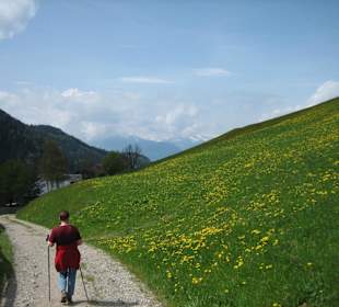 Wanderung zur Gsteier Alm