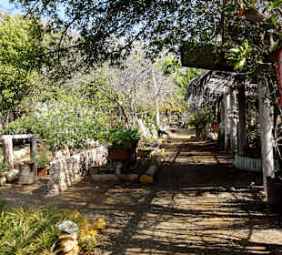 Impressionen vom Rundgang durch den Kräutergarten