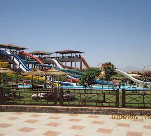 Gratis Ausflug in den Jungle Aqua Park