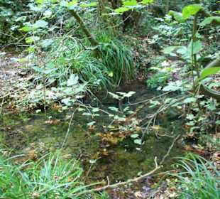 Mili Gorge Impression