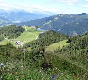 Natur Grafenberg