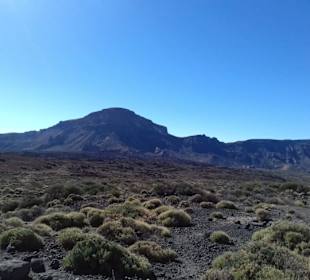 Teide Nationalpark in Las Canadas del Teide