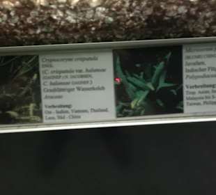 Aquarium