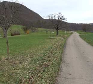 Birnenerlebnisweg Glems