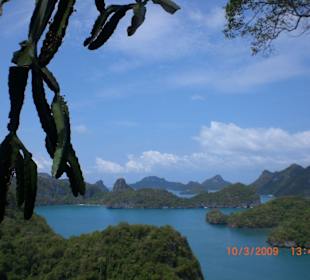 Aufstieg zum Viewpoint