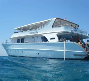 Unser tolles Schiff...