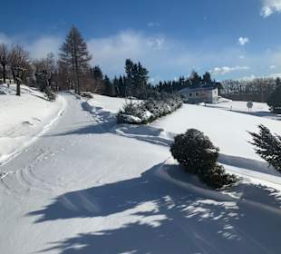 Wandern Mönichkirchen