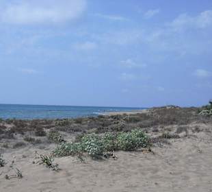 Blicker über Düne zum Meer