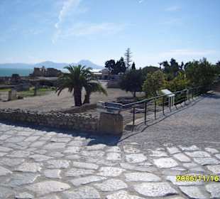 Neben dem Weg zum Wasser.