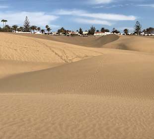 Dünen von Maspalomas