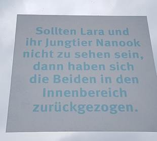 Wir hatten Glück Beide waren draußen 
