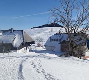 Dorf Herrenschwand, hat nur das Restaurant Waldfrieden