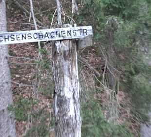 Wanderung rund um den Ochsenweiher