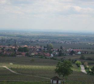 Blick vom Schloss in die Rheinebene