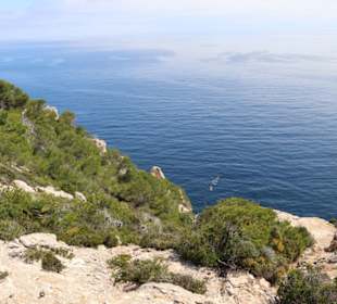Umgebung Leuchtturm  Cala Ratjada