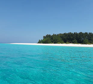 Mnemba Island