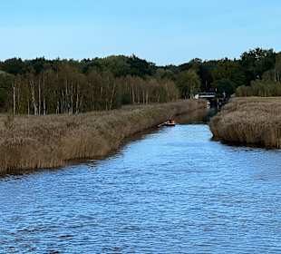 Rostocker Heide