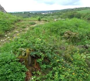 Ruine Burg Kaltenburg