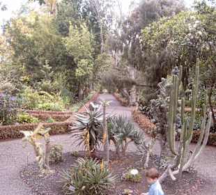 Jardin Botanico in Puerto de la Cruz