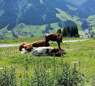 Wandern Saalbach-Hinterglemm