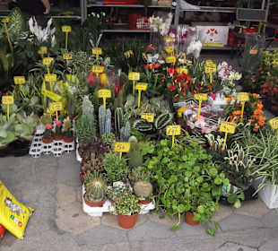 Marché de figueres