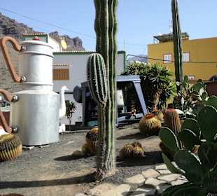 Stadtrundgang Playa del Ingles