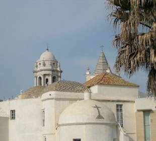 Kathedrale von der Campo del Sur aus gesehen