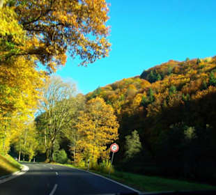 Weidmannsgesees tolle Augenblicke