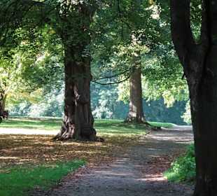 Rundgang durch den Park Forstbaumschule