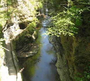 Watkins Glen