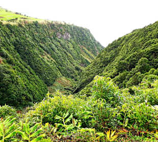 Inselrundfahrt Faial