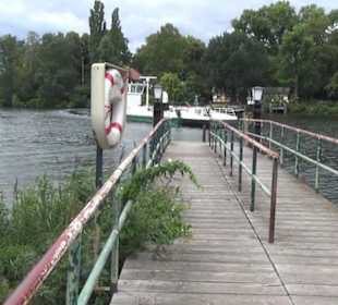 Fähre zur Pfaueninsel