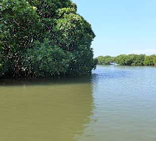 Negombo Lagune, Bootstour