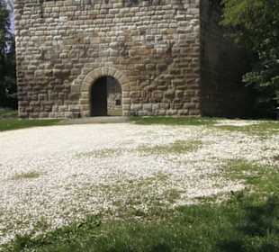 Burg Wäscherschloss