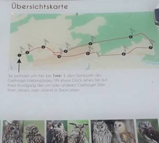 Greifvogel-Erlebnispfad
