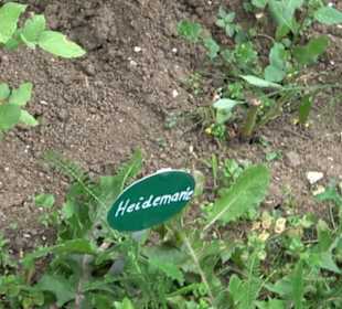 ALB-GOLD Naturgarten