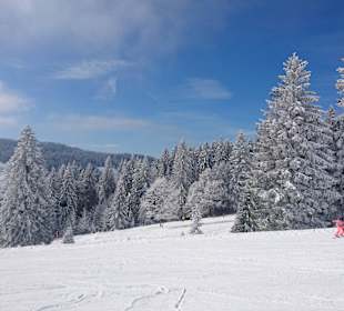 Feldberg