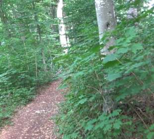 Tour entlang der Traifelbergfelsen
