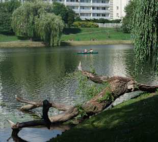 Widok na jezioro i fabrykę czekolady Wedla