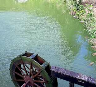 Maokong Gondel - Rund um Maokong Station 