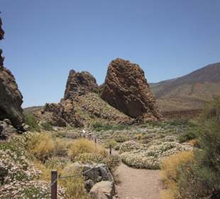 Parque Nacionaldel Teide