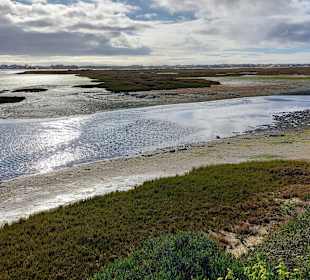 Parque Natural da Ria Formosa