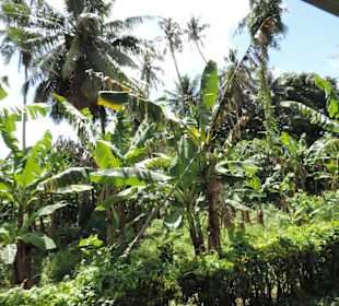 Mit Sunset Express in Pago Pago unterwegs